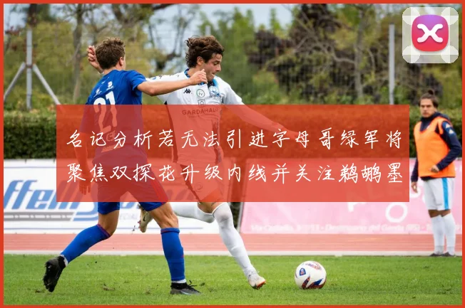 名记分析若无法引进字母哥绿军将聚焦双探花升级内线并关注鹈鹕墨菲